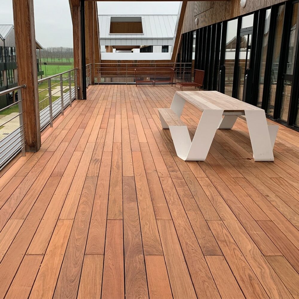 Jatoba