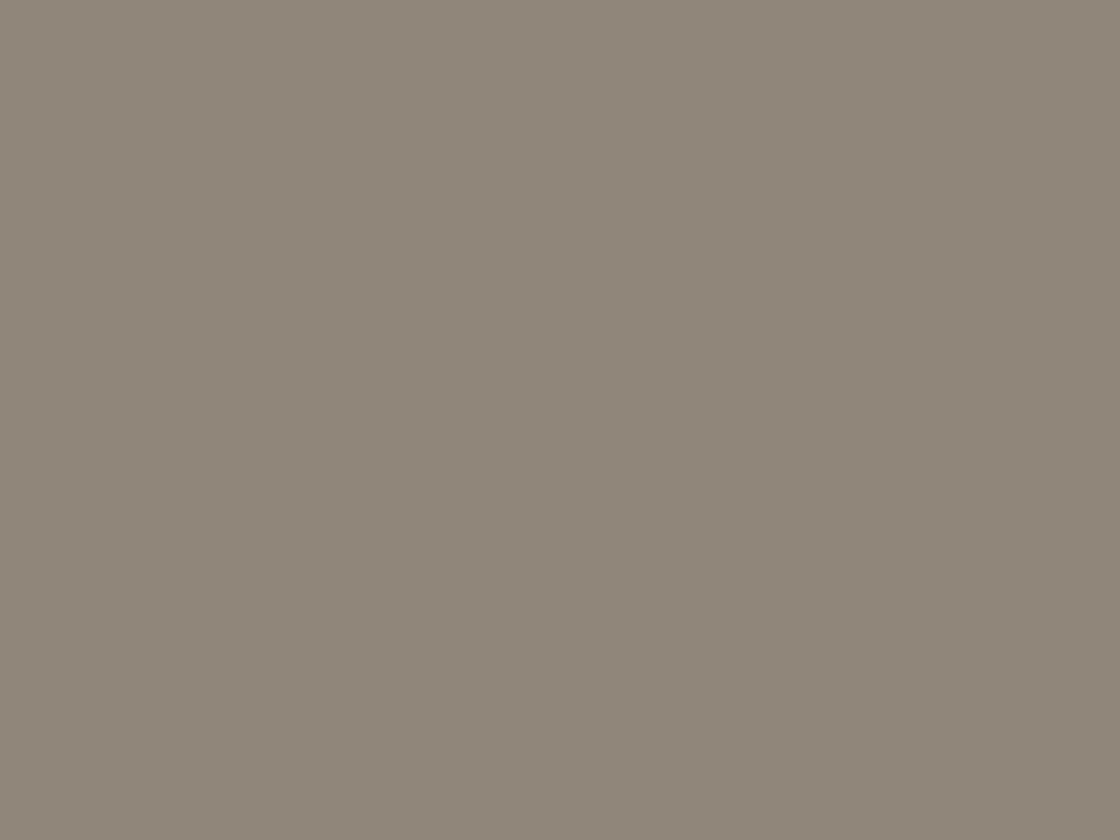 Gris argile Foncé U740 ST9