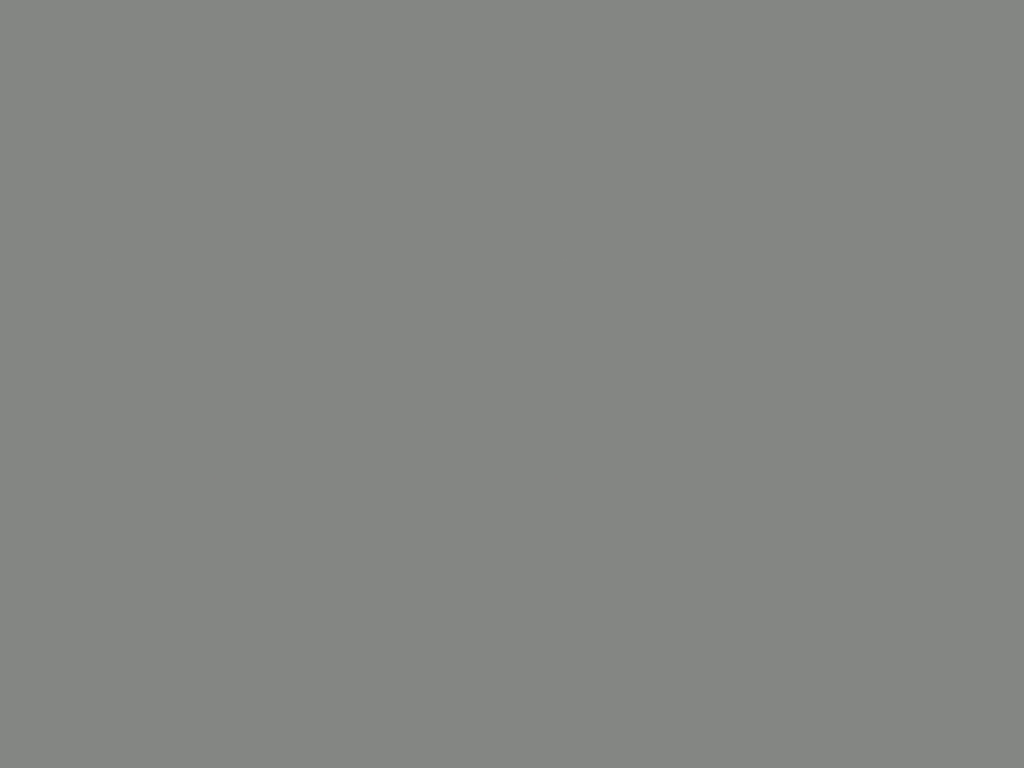 Gris Macadam U732 ST9