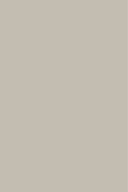 Beige Nature B116 SILK