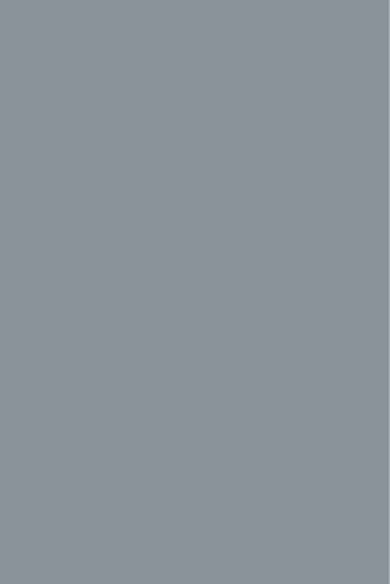 Gris Cendre G075 FA