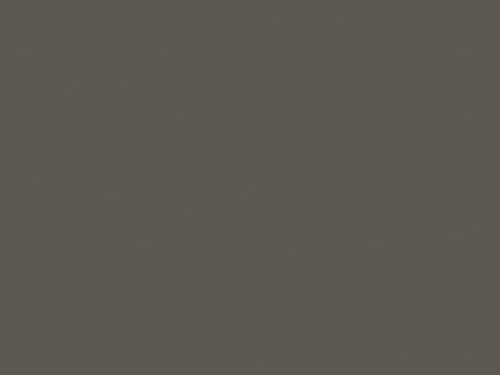 Brun Taupe U741 ST9