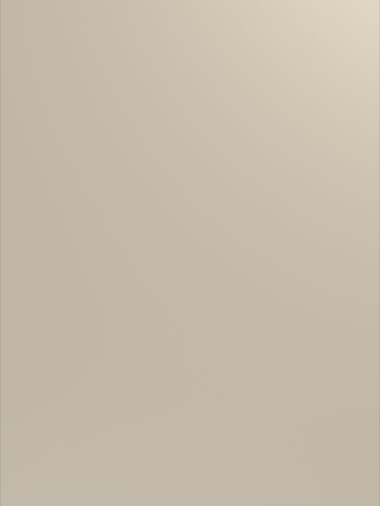 Mushroom beige 0U655 CST