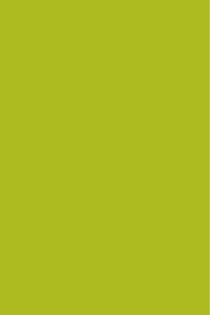 Pomme Verte P092 FA